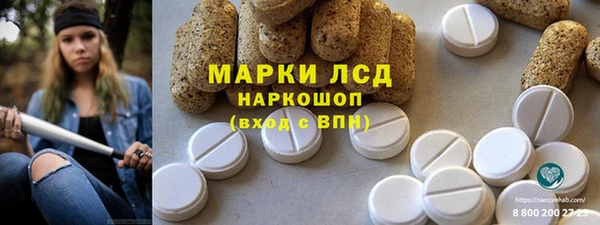 индика Армянск