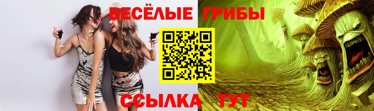 Петрозаводск  Псилоцибиновые грибы Psilocybe  Вход с VPN 